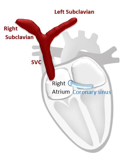 <p>What is highlighted in red? </p>