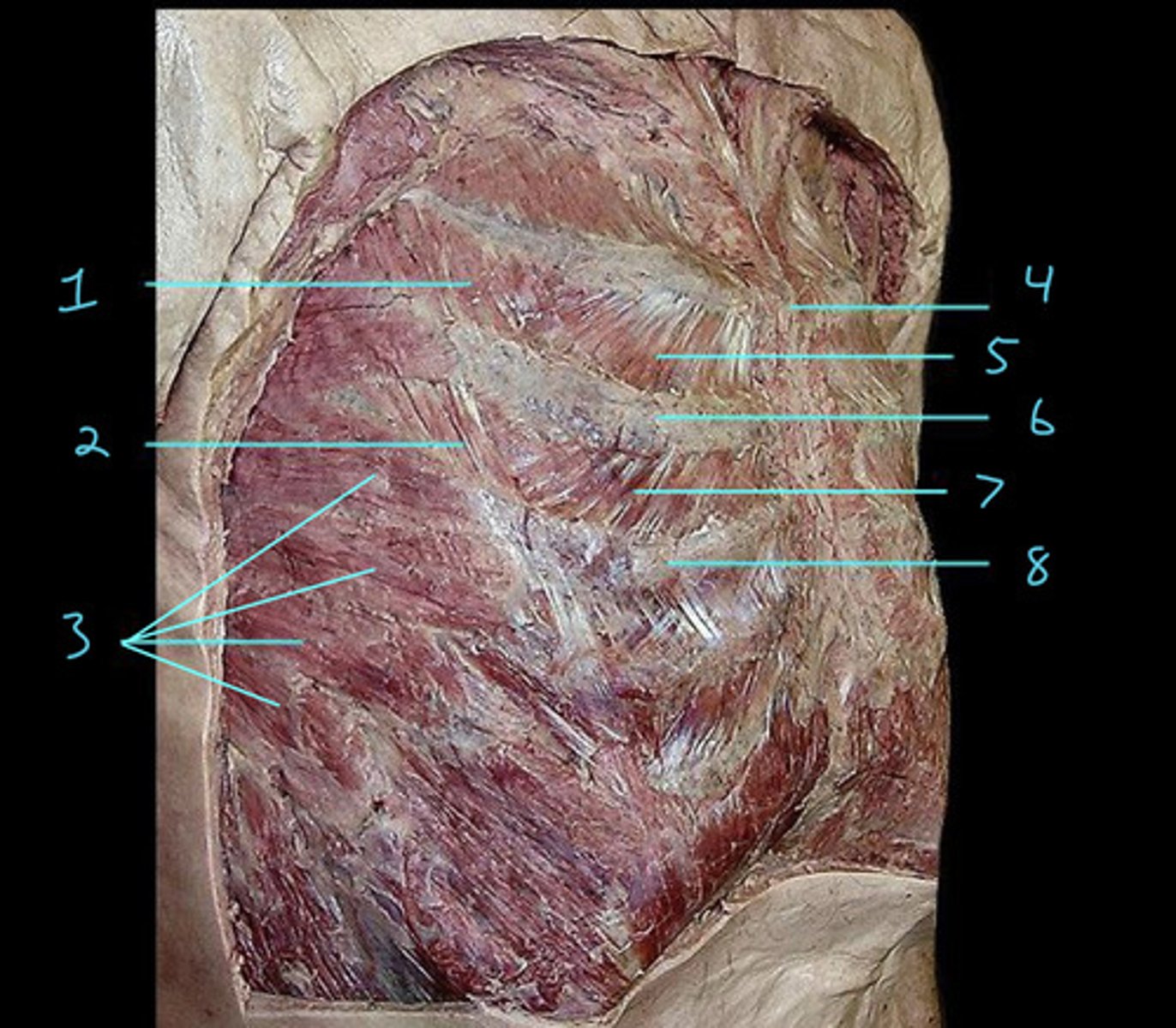 <p>4</p>