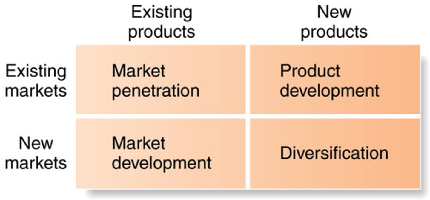 <p>Should you make new products or not, should you expand to a new market or not.</p>