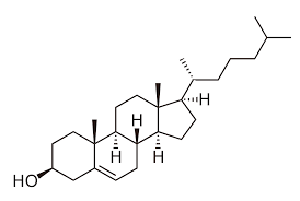 <p>cholesterol </p>