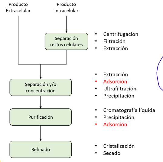 <ul><li><p>Separación y/o concentración</p></li><li><p>Purificación</p></li></ul><p></p>