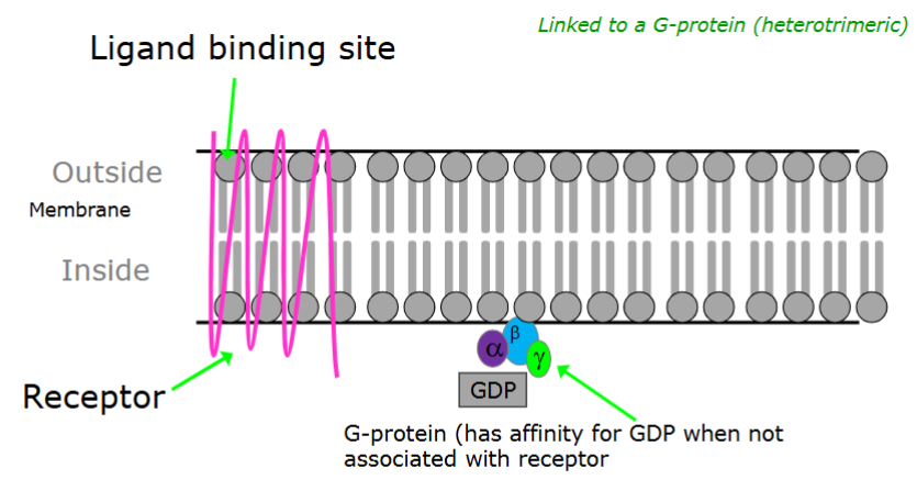 <p>GDP</p>