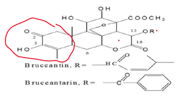 <p>bruceolide SAR: What is required for ANTITUMOR activity?</p>