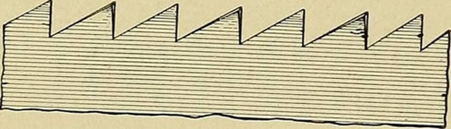 <p>Cutting WITH the grain</p>