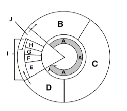 <p>Label section a</p>
