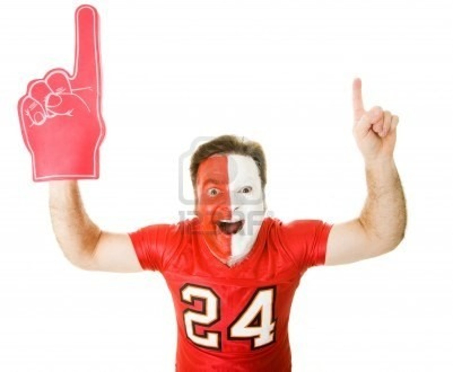 <p>I'm a fanatic.</p>