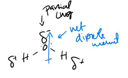 <p>e- geometry - tetrahedral (ish) </p><p>molecular geometry - bent </p>