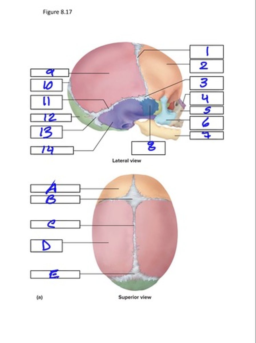 <p>1</p>