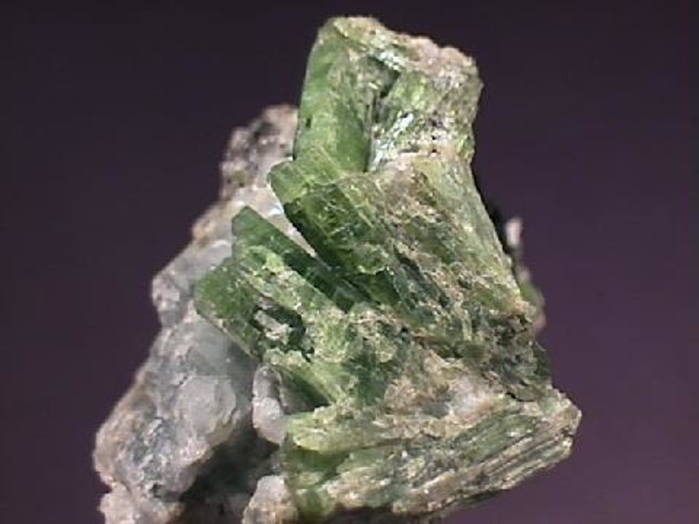 <p>Amphibole group mineral</p>