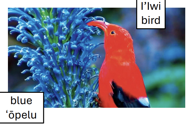 <p>honeycreepers:</p>