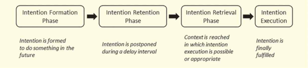 <ol><li><p><span style="background-color: transparent;"><span>Intention Formation</span></span></p></li><li><p><span style="background-color: transparent;"><span>Intention Retention</span></span></p></li><li><p><span style="background-color: transparent;"><span>Intention Retrieval</span></span></p></li><li><p><span style="background-color: transparent;"><span>Intention Execution</span></span></p></li></ol><p></p><ol><li><p><span style="background-color: transparent;"><span>“I will go to the store at 4pm.”</span></span></p></li><li><p><span style="background-color: transparent;"><span>Delay of minutes to weeks (filler tasks/interference)</span></span></p></li><li><p><span style="background-color: transparent;"><span>See the clock just turned 3:50pm.</span></span></p></li><li><p><span style="background-color: transparent;"><span>Leave to go to the store.</span></span></p><ul><li><p><span style="background-color: transparent;"><span>May involve a set of actions/intentions, e.g., getting ready, grabbing car & house key, grabbing grocery bags</span></span></p></li></ul></li></ol><p></p>