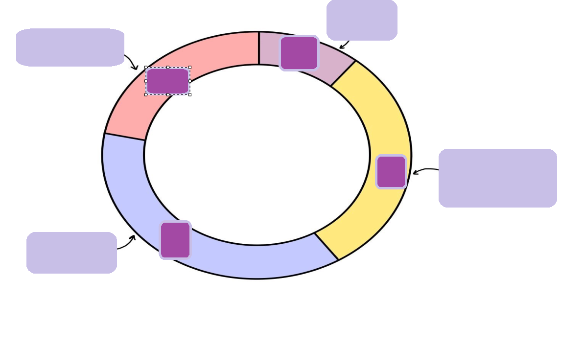 <p>complete the cell cycle.</p><p>what colours and stages represent interphase.</p>