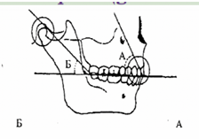 <p>forward and backward</p>