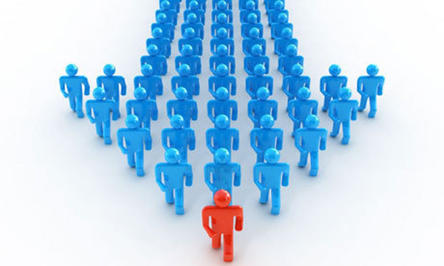 <p>People look at the actions of</p><p>others to determine their</p><p>own</p>