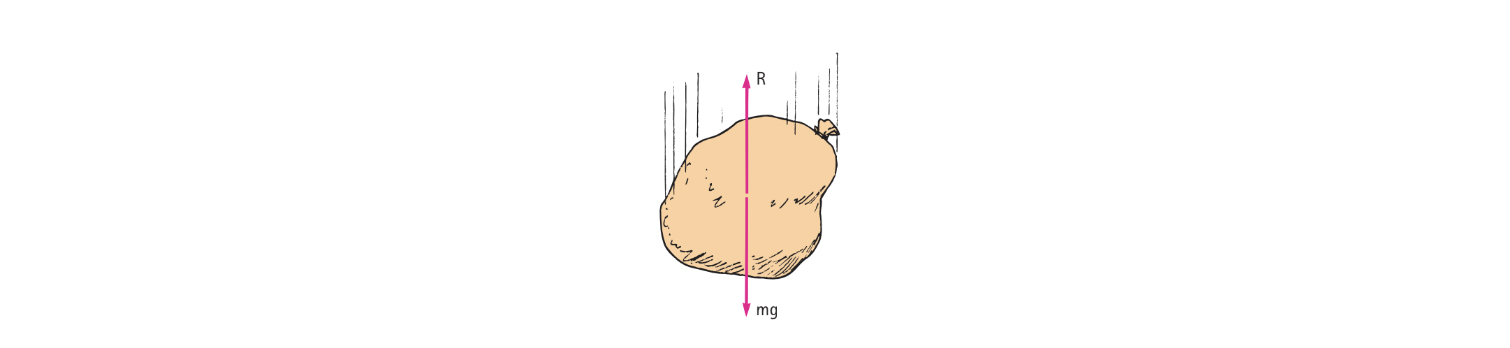 mg is the force of gravity pulling the object downwards, R is the air resistance opposing the force of gravity and acting upwards