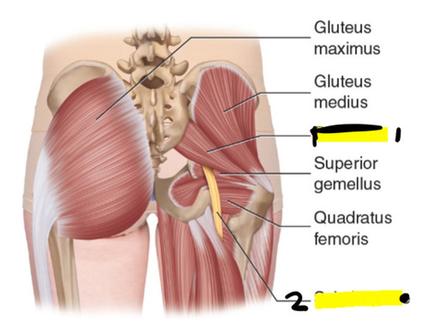 <p>1</p>