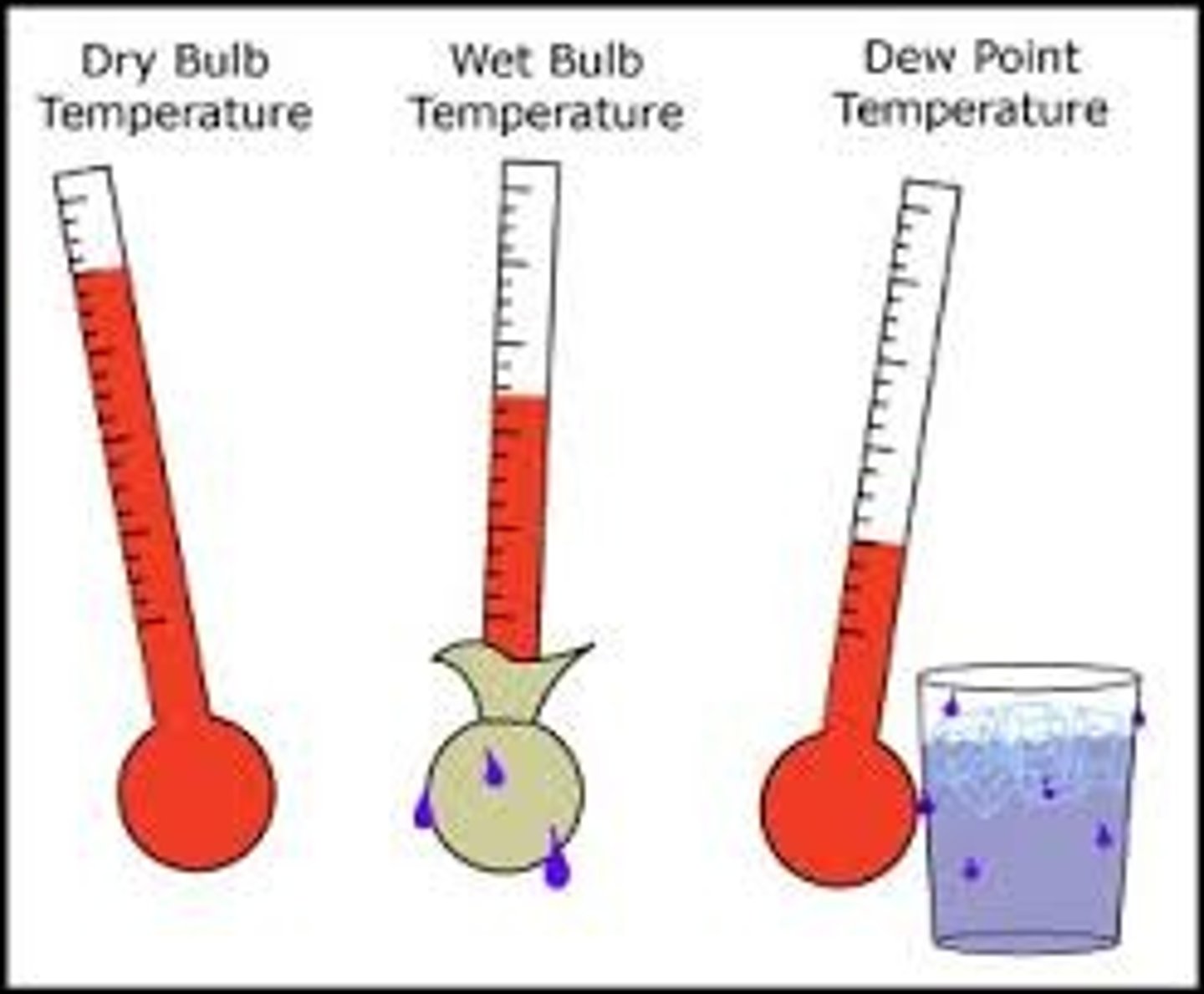 <p>The temperature of air measured by a thermometer freely exposed to the air</p>
