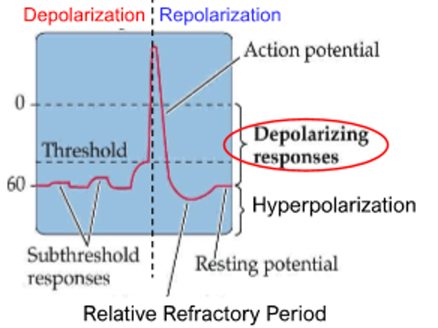 <p>threshold</p>