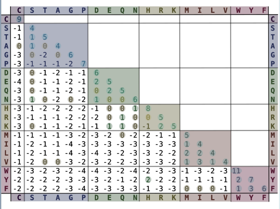 <p>scoring system based on replacing an AA by 19 others. </p><p>✦ large +ve score = frequent substitution</p><p>✦ large -ve scre = rare substitution</p>