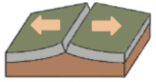 <p><span style="background-color: transparent;"><span>When two plates move away from each other - ←→</span></span></p>