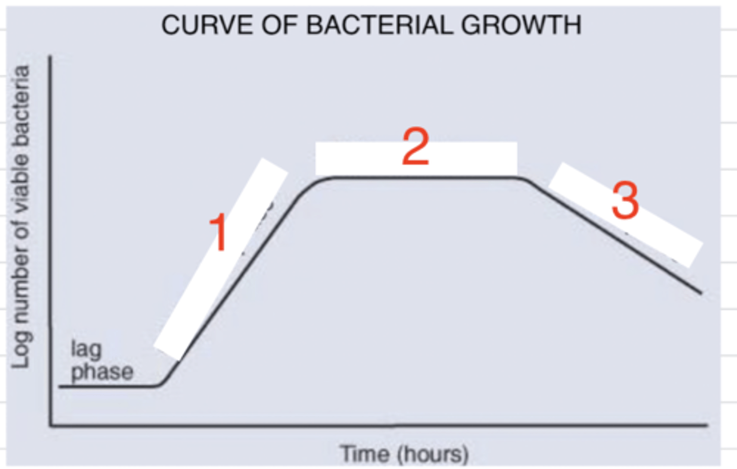 <p>which is the stationary phase? what is happening with the bacteria here?</p>
