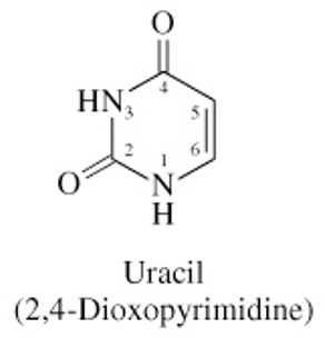 <ul><li><p>C=O at C2 &amp; C4</p></li><li><p>no methyl at C5</p></li></ul><p></p>