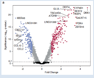 <p><span style="background-color: transparent;"><span>identifies genes exhibiting statistically significant&nbsp;changes in transcript abundance caused by exposure to hormone.</span></span></p><p><span style="background-color: transparent;"><span>Blue dots identify </span><strong><span>down-regulated</span></strong><span> genes, Purple dots identify </span><strong><span>up-regulated </span></strong><span>genes&nbsp;</span></span></p><p><span style="background-color: transparent;"><span>made from RNA-seq</span></span></p>
