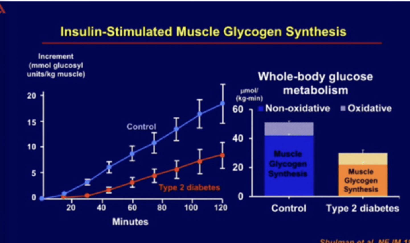 <p>decreased glycogen synthesis and storage in muscle in diabetics</p><p>*problem is GLUT4- can't get to membrane</p>