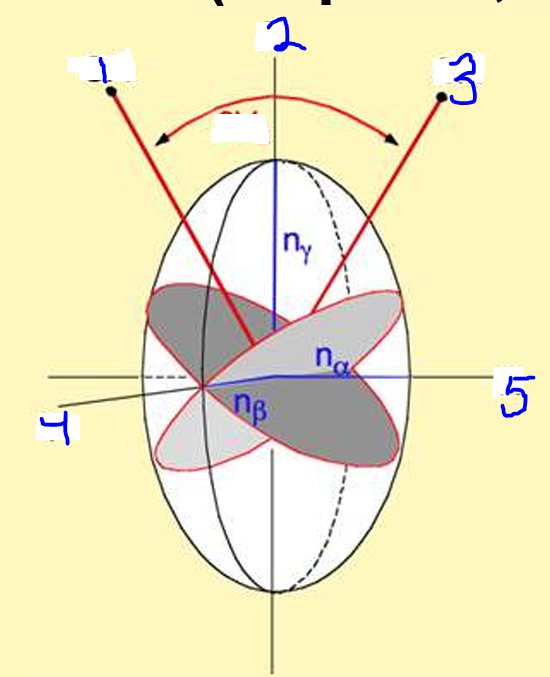 <p>Label 1-5</p>