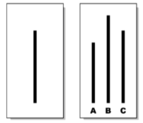 <p>The Solomon Asch line experiment demonstrated that people conformed to the wrong answer. They said B was the same size as the line on the left.</p>