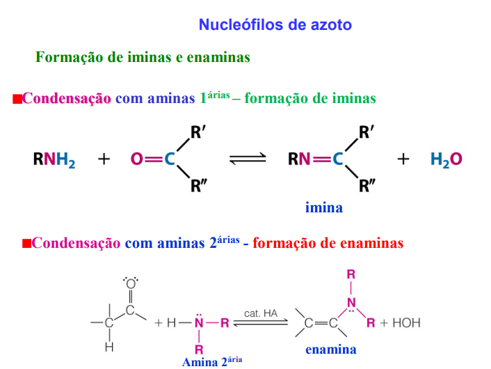 <p>formação de iminas e enaminas</p><ul><li><p>condensação com aminas primárias- <strong>formação de iminas</strong></p></li><li><p>condensação com aminas secundárias- <strong>formação de enaminas</strong></p></li></ul><p></p>
