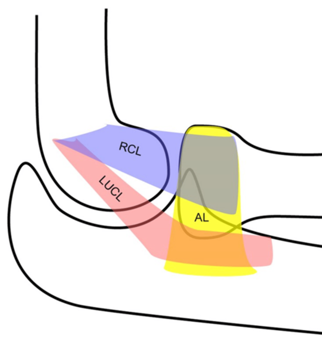 <p>What is this?</p>