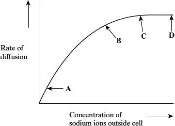 <p>Explain the shape of the curve between<strong> C</strong> and<strong> D&nbsp;</strong>&nbsp;(2)&nbsp;</p>