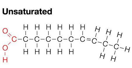 <p>Unsaturated lipids are broken structures and they are good and beneficial for the body. These do have 2 double bonds.</p>