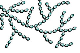 <p>highly branched carbohydrate </p>