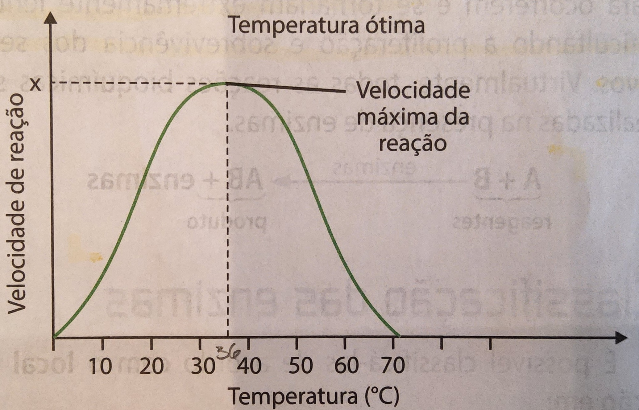 * para cada enzima, existe uma temperatura ideal para atingir o máximo da velocidade de reação
* mudanças de grande porte podem provocar a desnaturação enzimática com perda do sítio ativo e inativação da enzima
  * febre mata pq causa a desnaturação das enzimas e proteínas