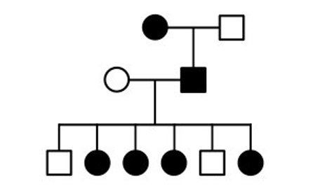 <p>-affected daughters from an affected father suggest x linked dominance</p><p>-sex linkage cannot be confirmed</p>