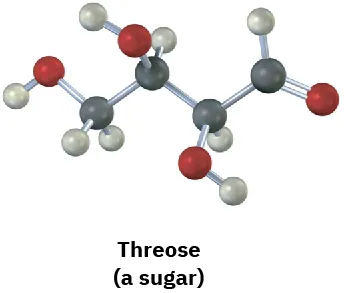 <p>(5-4)</p><p><span>Identify the chirality centers in the following molecules (gray = H, black = C, red = O, green = Cl, yellow-green = F):</span></p><p><span>(a)</span></p>