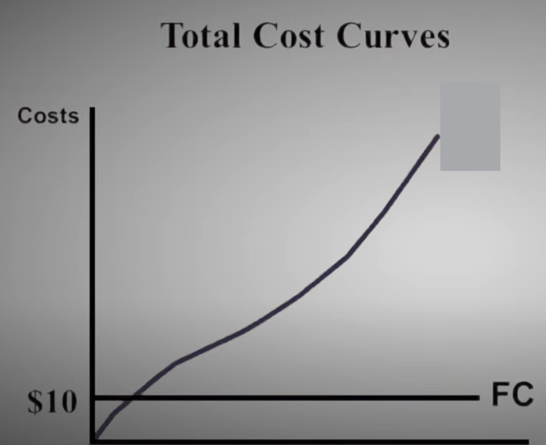 <p>The costs that change as the output of production changes</p>