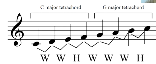 <p>Consists of 2 major tetrachords: tonic and dominant.</p>