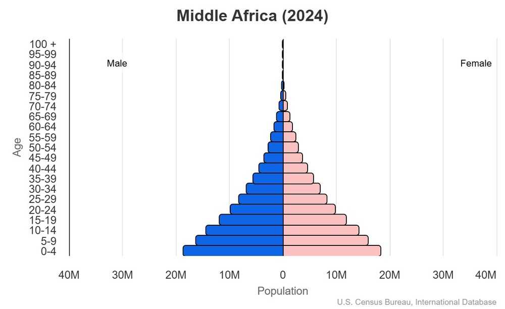 <p>A graphic technique used to</p><p>illustrate changes in the age distribution of a population</p><p></p>