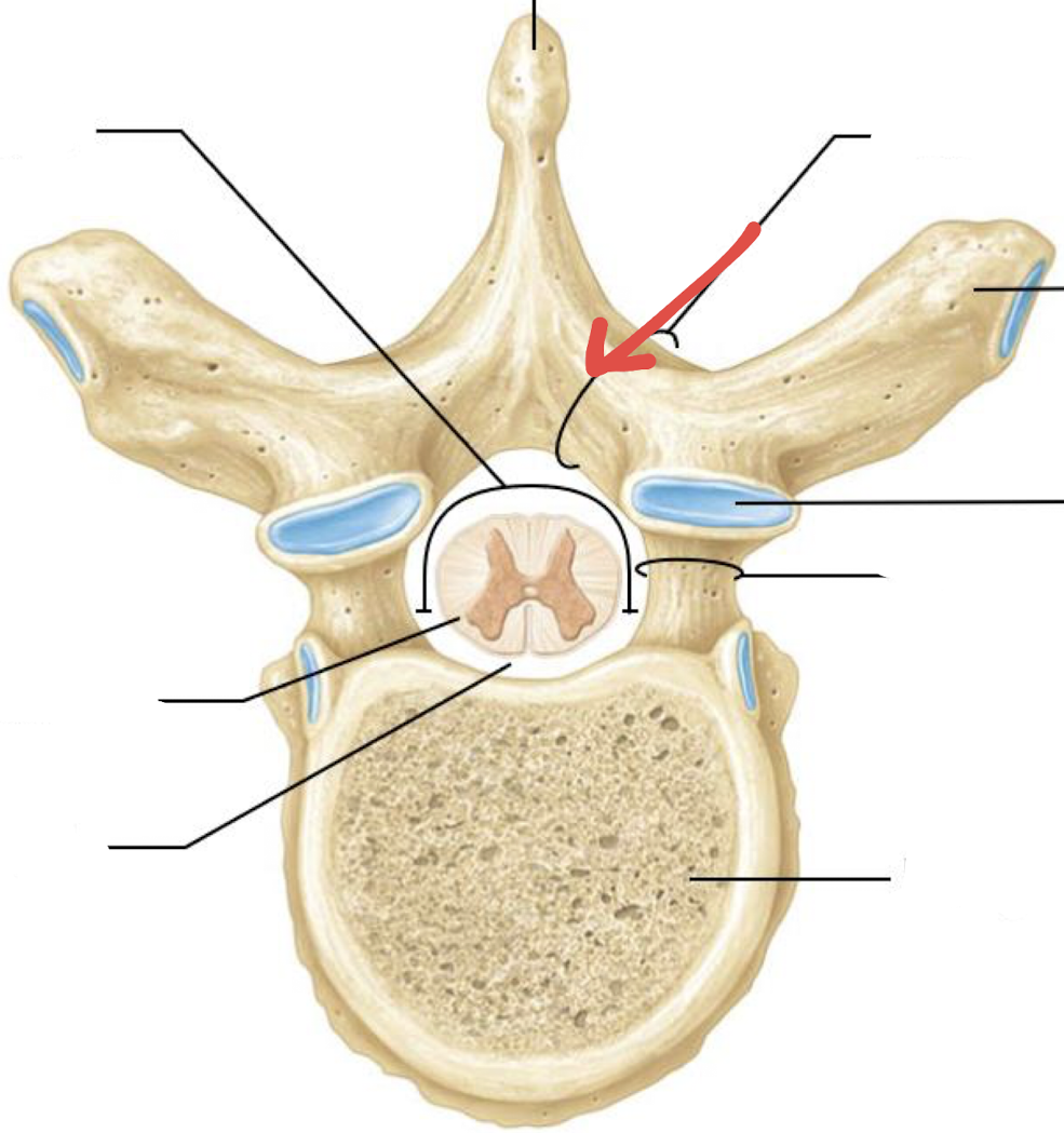 <p>what is this?</p>