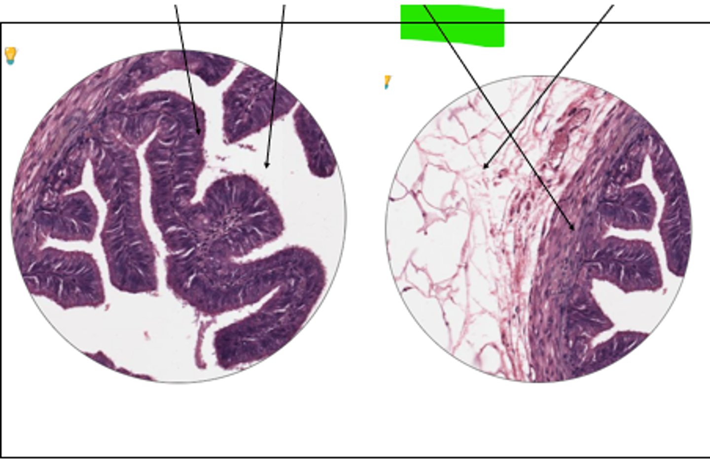 <p>part of structure and structure?</p>