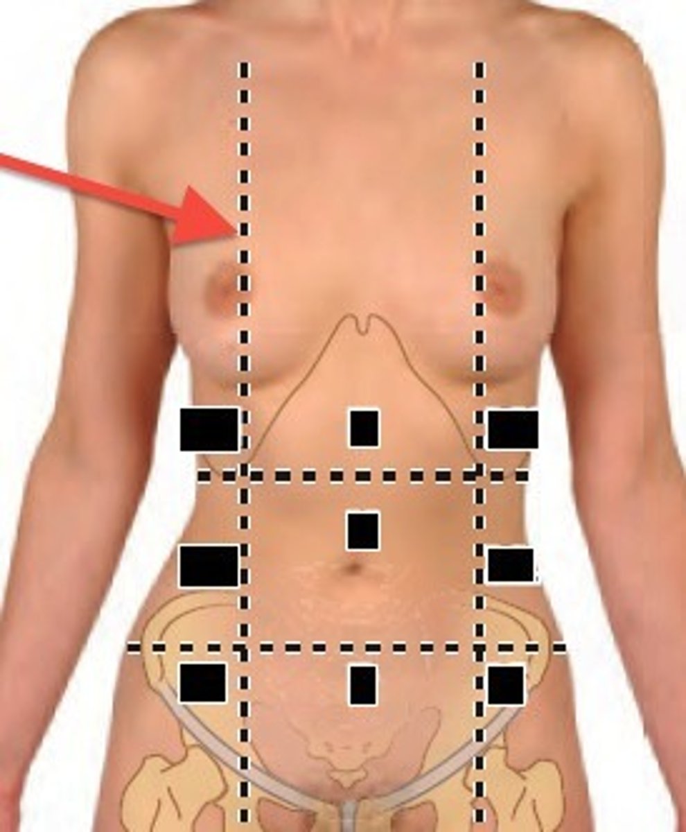<p>The Right and Left Midclavicular (lateral) Planes are located in the midpoint of the clavicle</p>