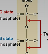 <p>phosphoanhydride (covalent bonds) ( only 2) </p><p>*bonds occur between  </p><p>-ATP-ADP </p><p>ADP-AMP</p>