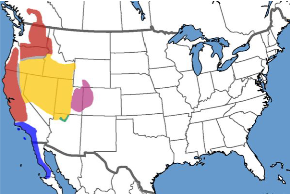 <p>Who’s range map? </p>