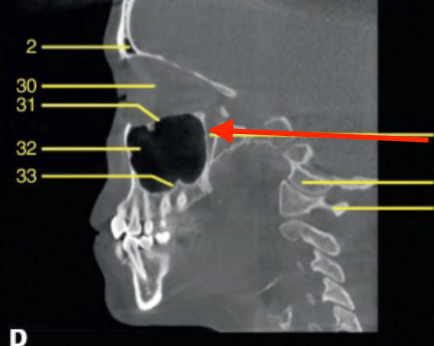 <p>identify the structure </p>