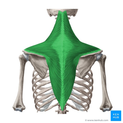 <p>What does this structure correspond with?</p>