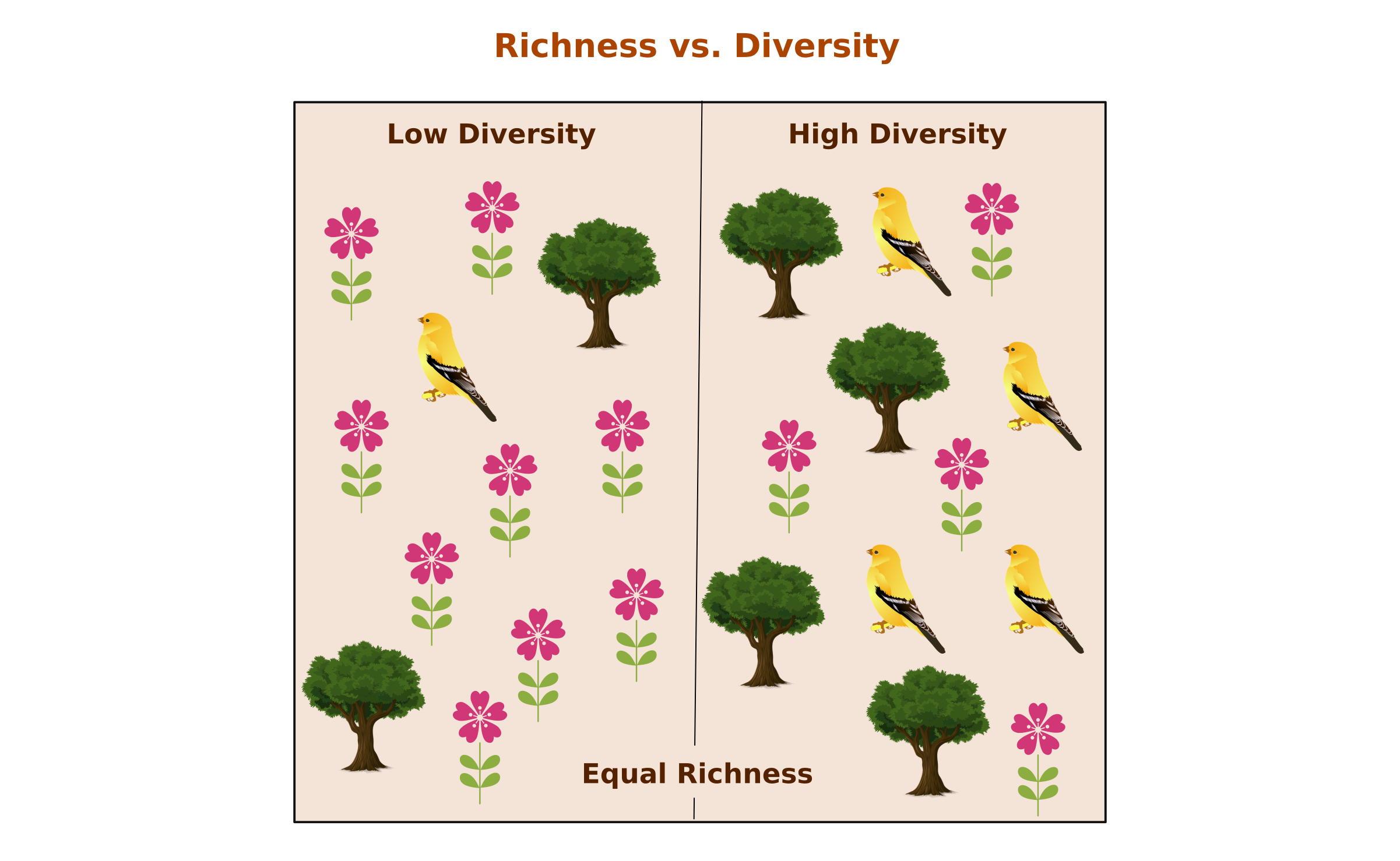 * number of species occurring in a particular area
* NUMBER OF SPECIES ALONE