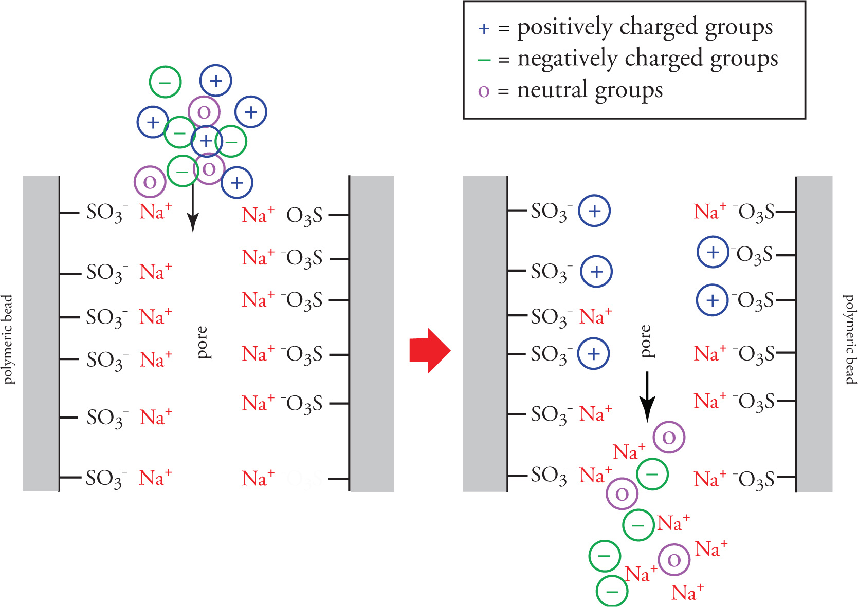 How does Ion Exchange work?